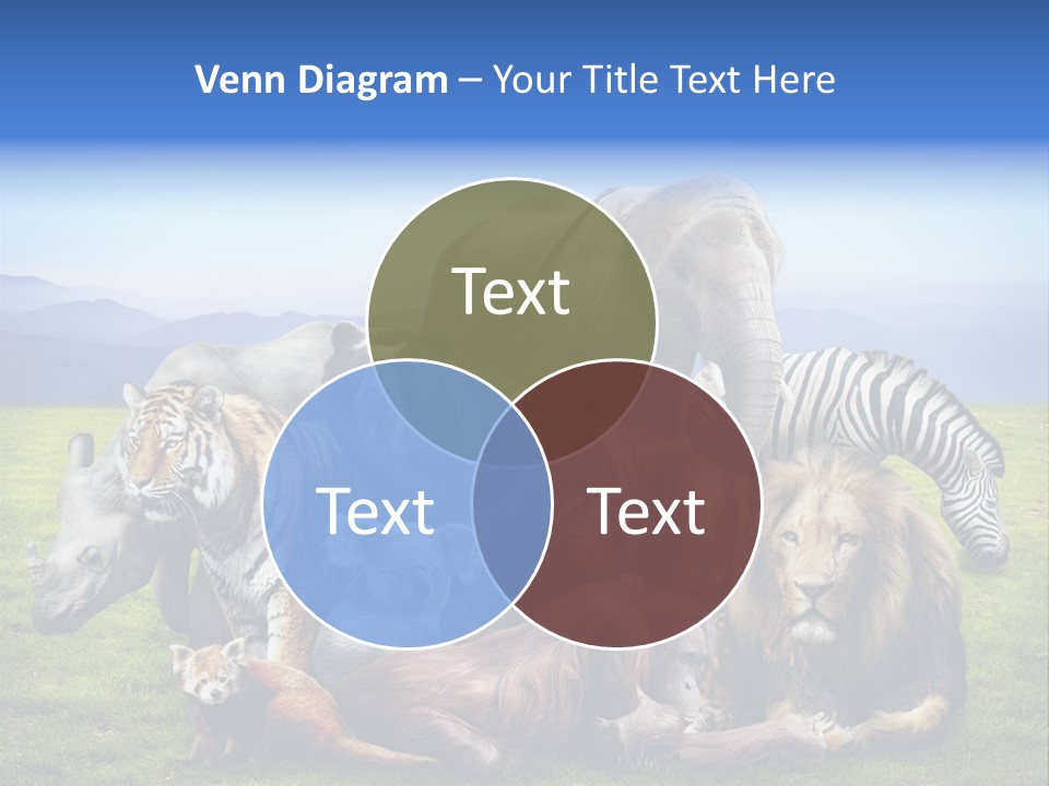 Vacation Environmental Red Panda PowerPoint Template