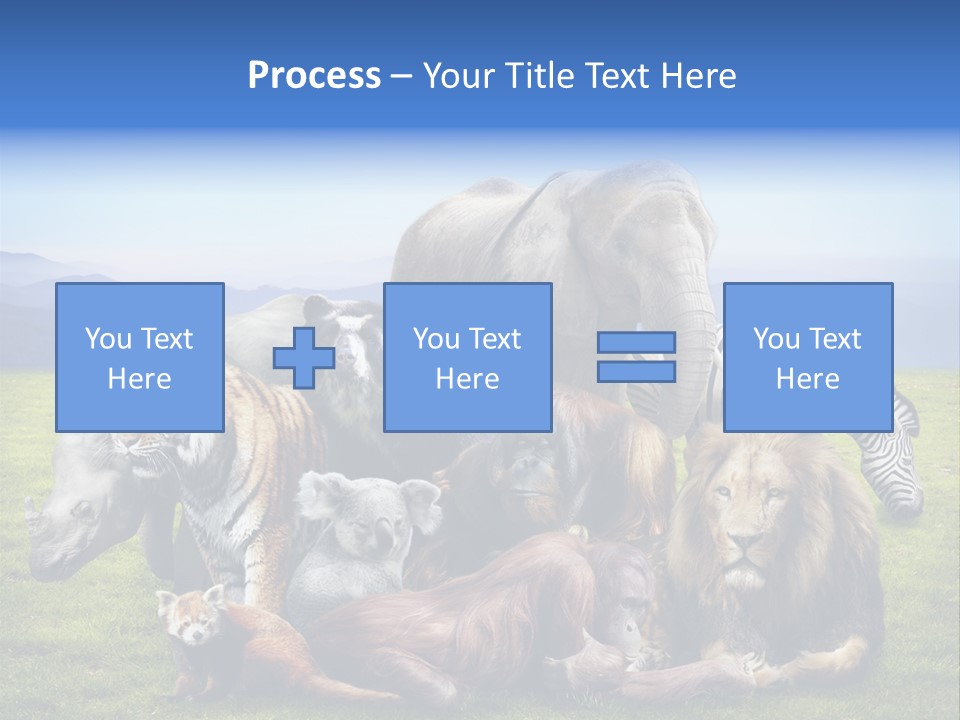 Vacation Environmental Red Panda PowerPoint Template