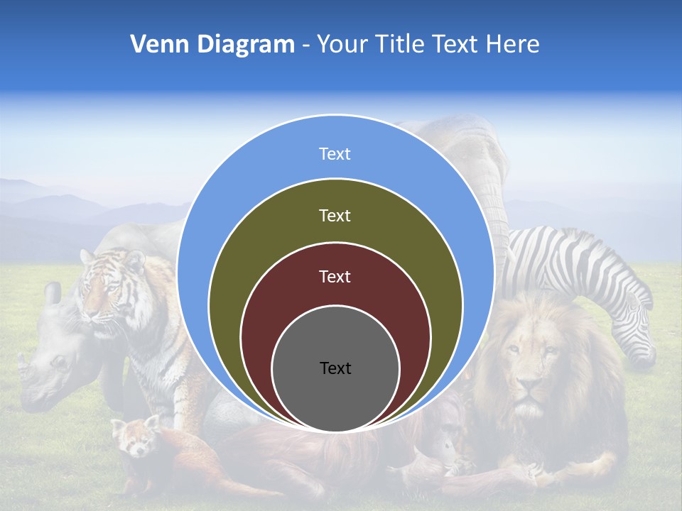 Vacation Environmental Red Panda PowerPoint Template