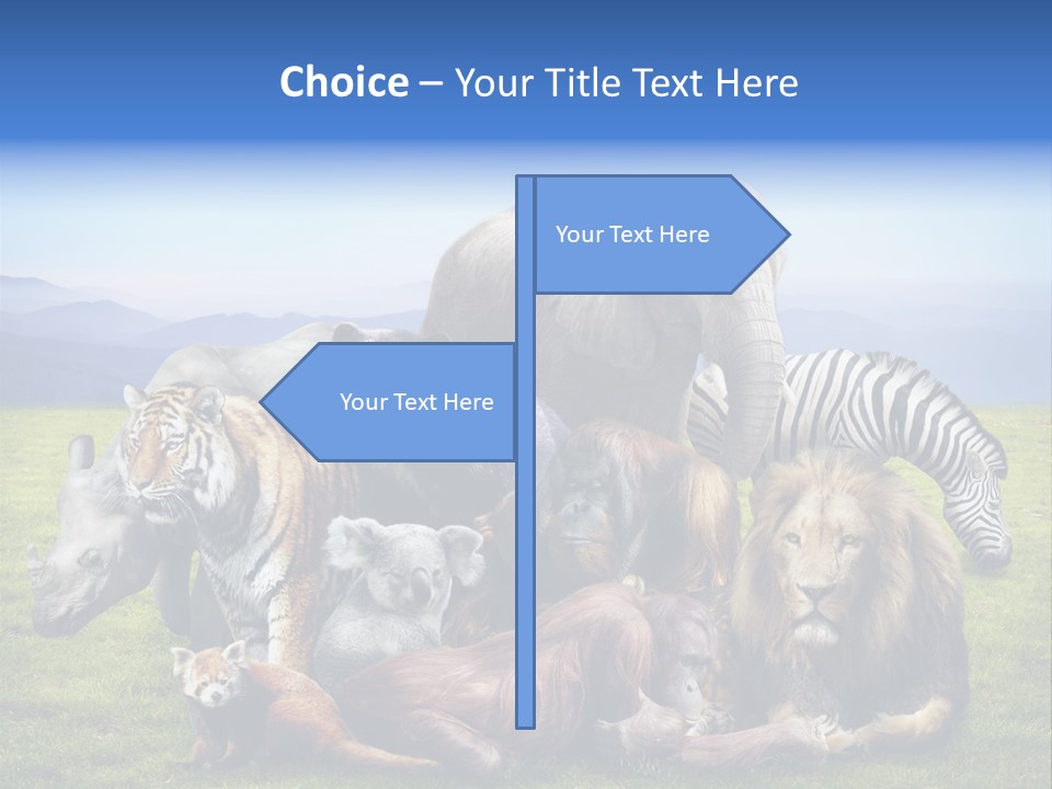 Vacation Environmental Red Panda PowerPoint Template