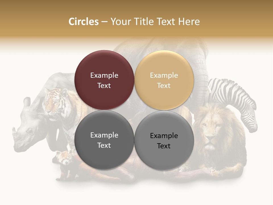 Siberian Group Creatures PowerPoint Template