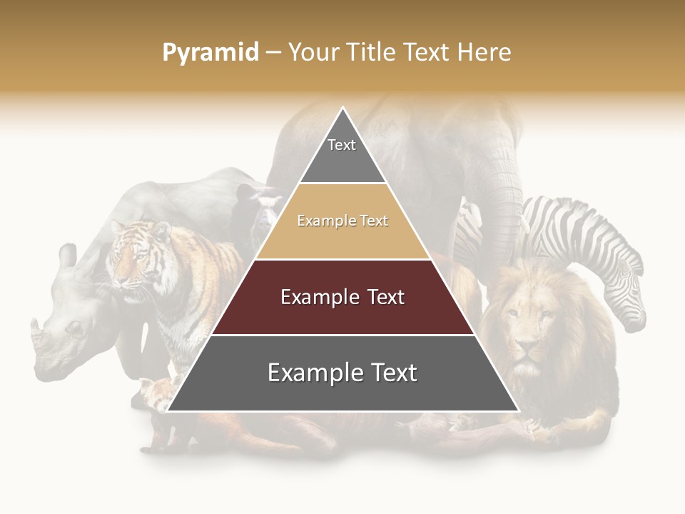 Siberian Group Creatures PowerPoint Template