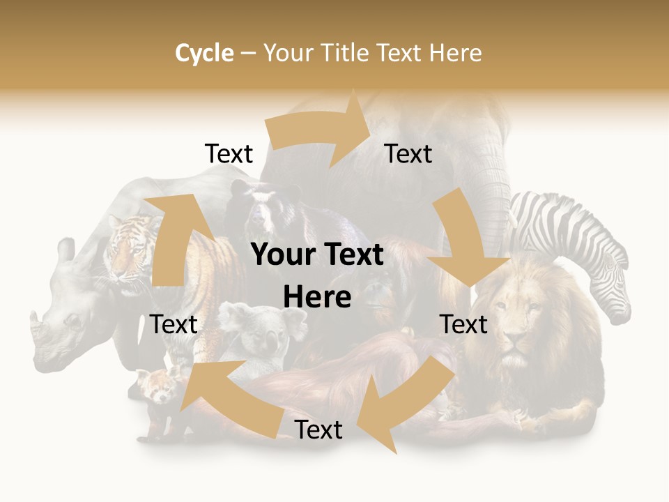 Siberian Group Creatures PowerPoint Template