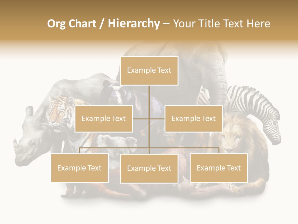Siberian Group Creatures PowerPoint Template