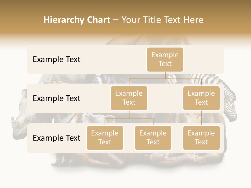 Siberian Group Creatures PowerPoint Template