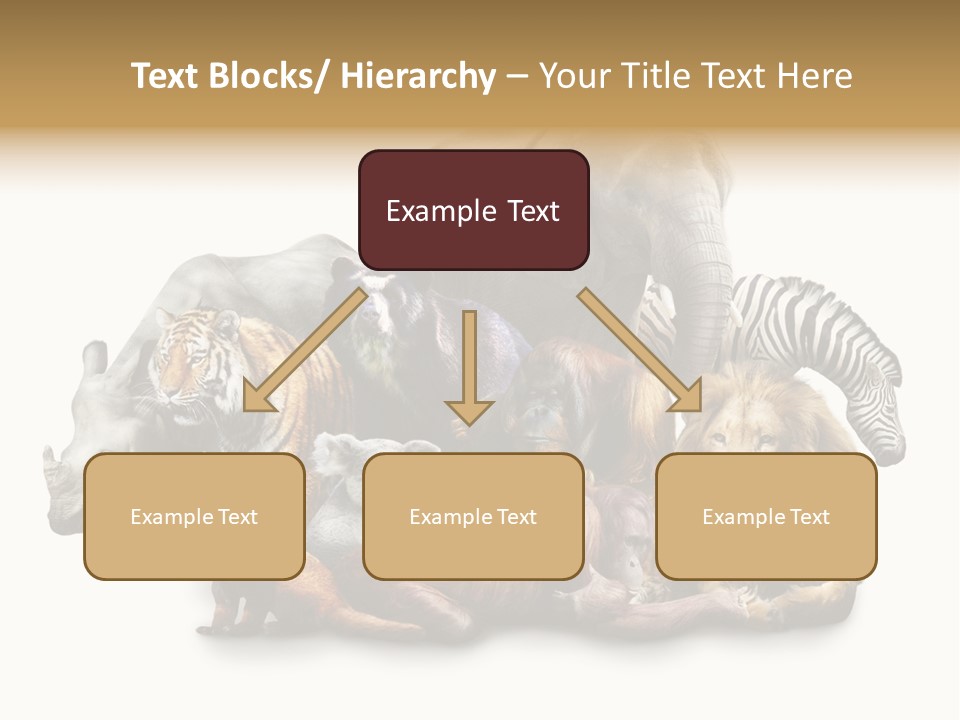 Siberian Group Creatures PowerPoint Template