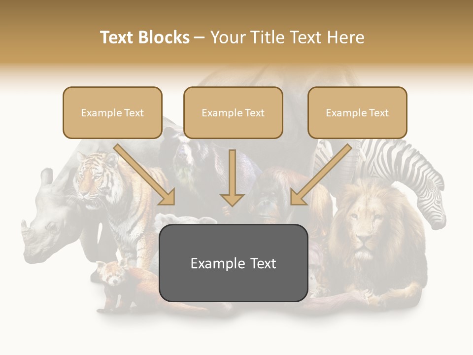 Siberian Group Creatures PowerPoint Template