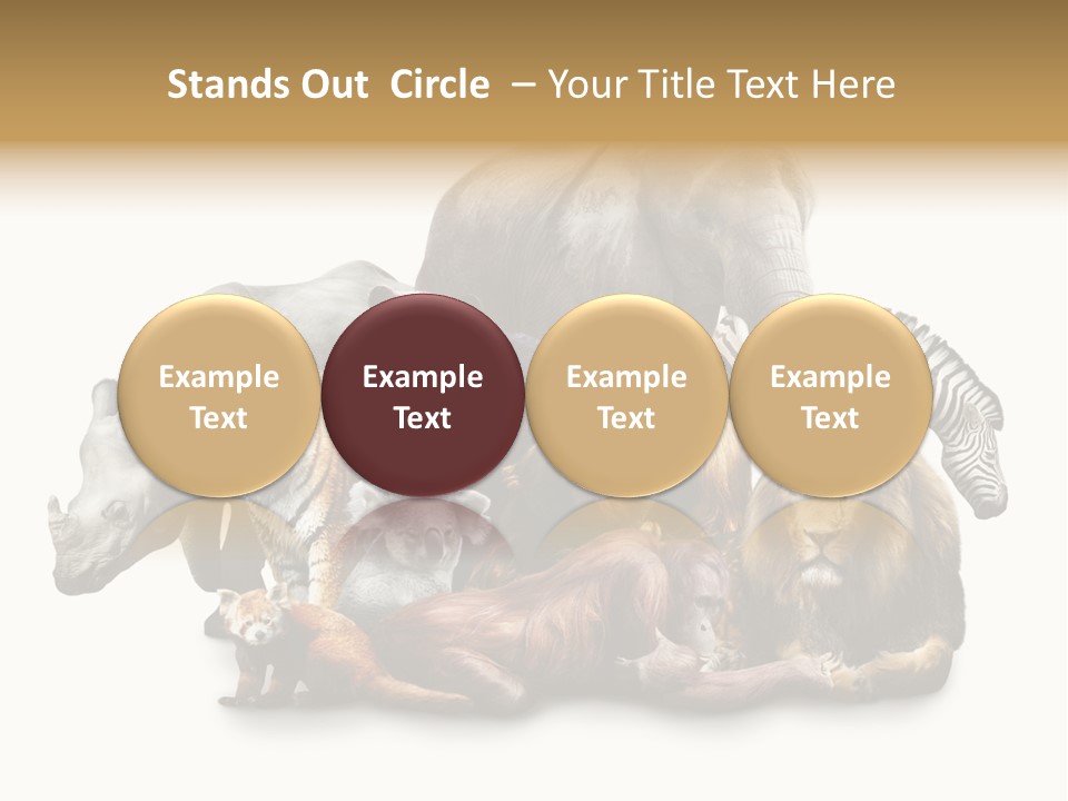 Siberian Group Creatures PowerPoint Template