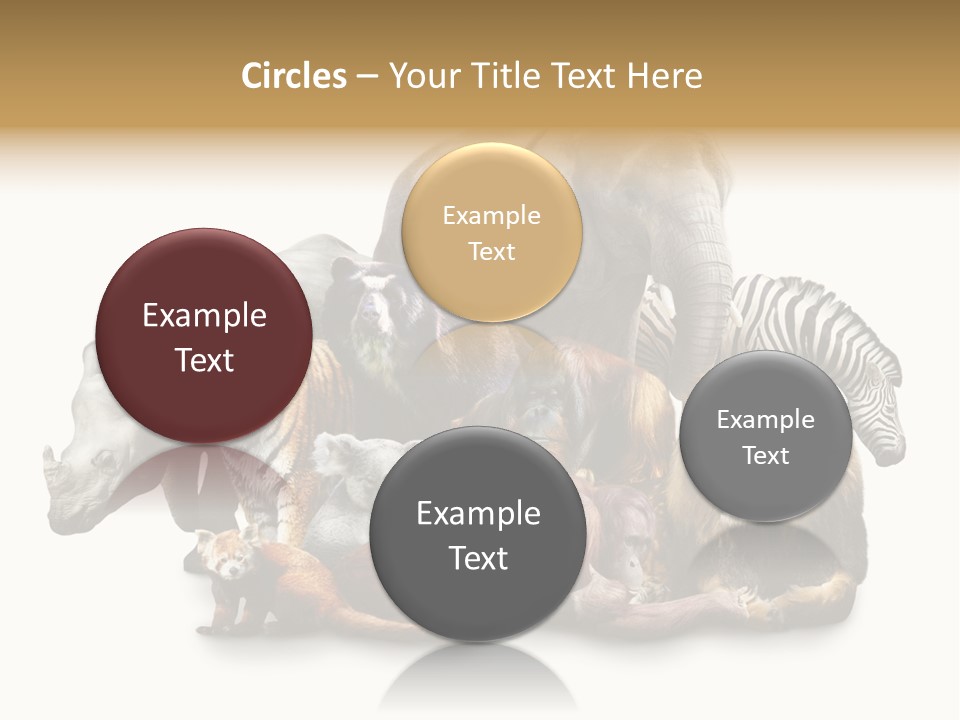 Siberian Group Creatures PowerPoint Template