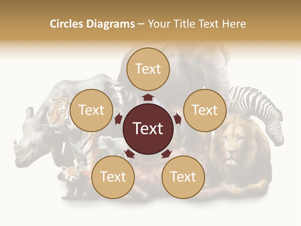 Siberian Group Creatures PowerPoint Template