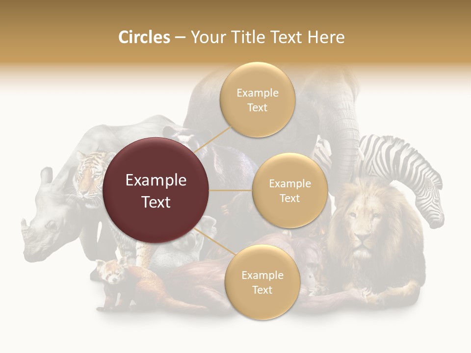 Siberian Group Creatures PowerPoint Template