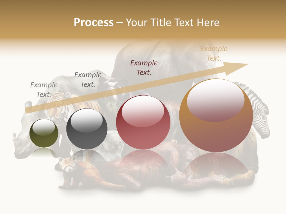 Siberian Group Creatures PowerPoint Template