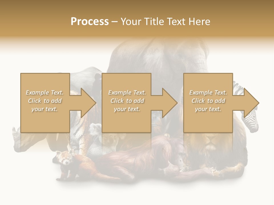 Siberian Group Creatures PowerPoint Template