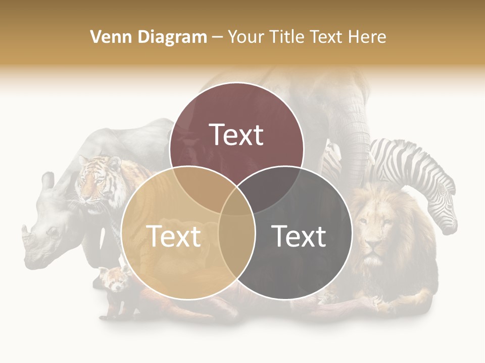 Siberian Group Creatures PowerPoint Template