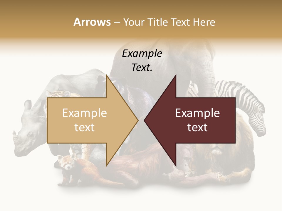 Siberian Group Creatures PowerPoint Template