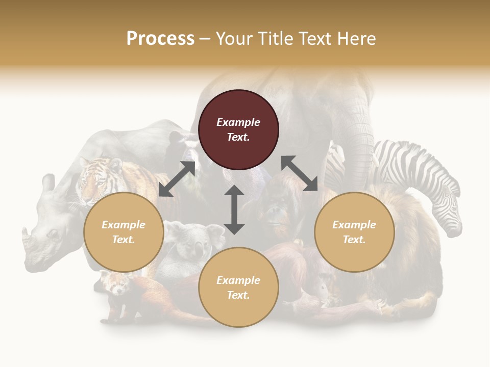 Siberian Group Creatures PowerPoint Template