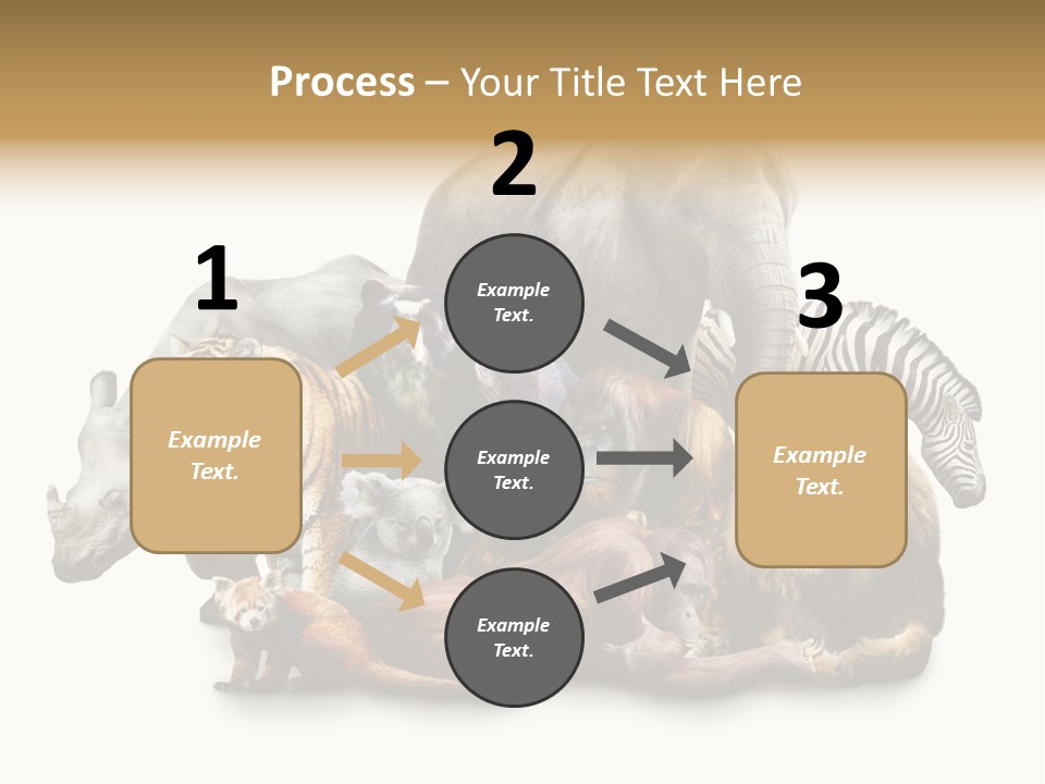 Siberian Group Creatures PowerPoint Template