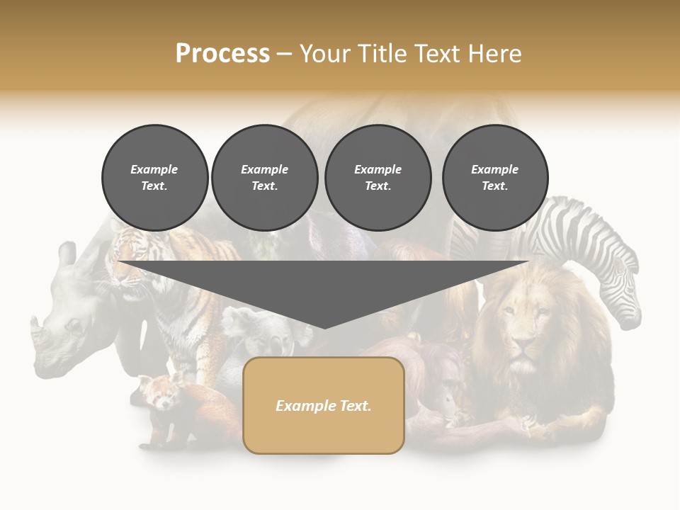 Siberian Group Creatures PowerPoint Template