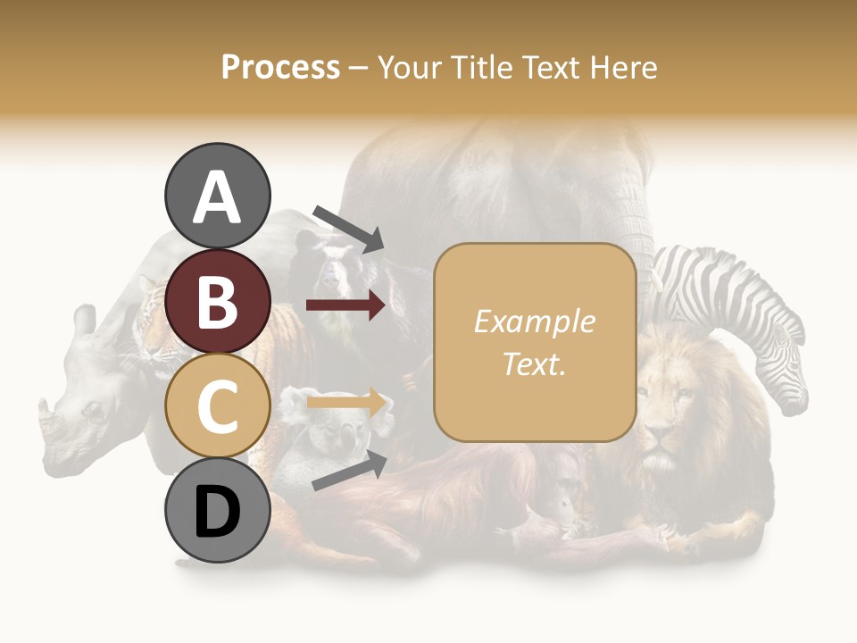 Siberian Group Creatures PowerPoint Template
