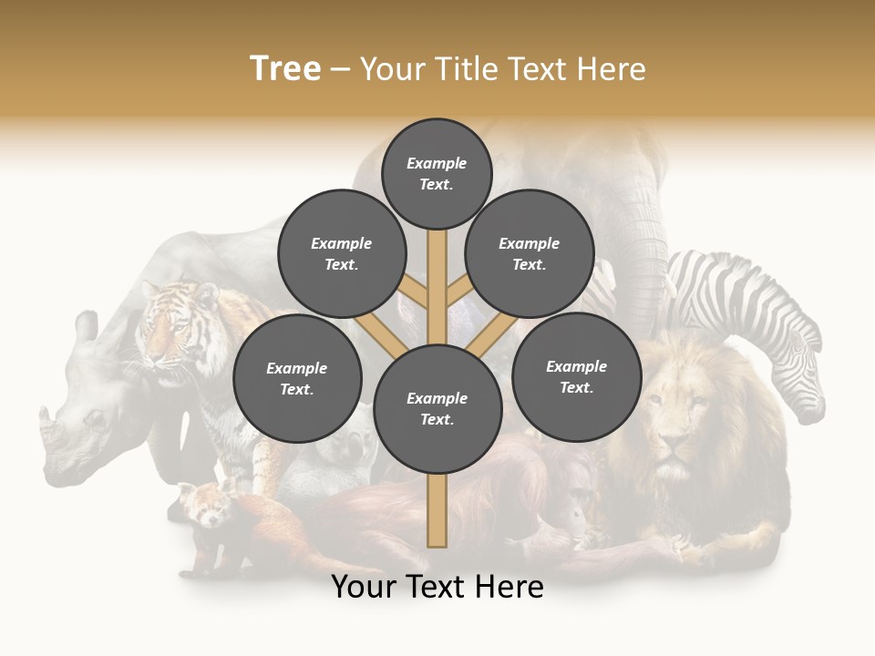 Siberian Group Creatures PowerPoint Template