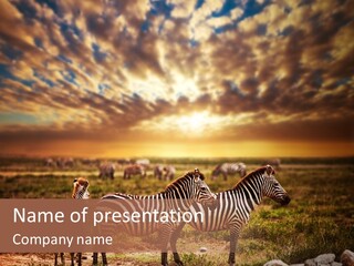 Serengeti Sun Dusk PowerPoint Template