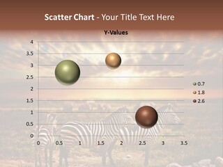 Serengeti Sun Dusk PowerPoint Template