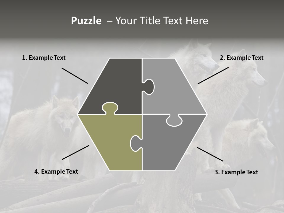 Dangerous Polar Arctic Wolf PowerPoint Template