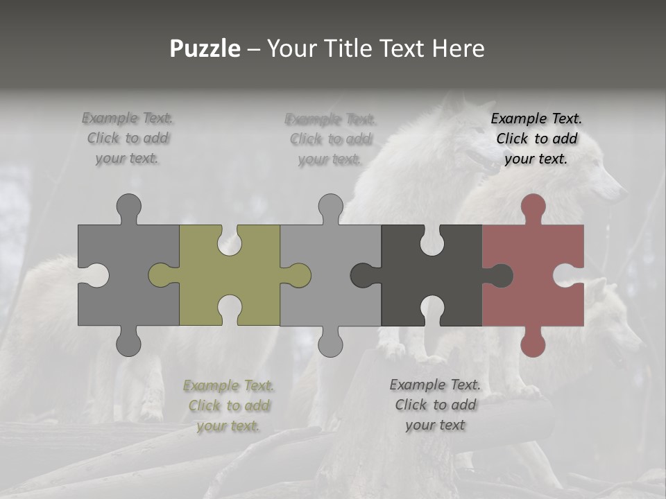 Dangerous Polar Arctic Wolf PowerPoint Template