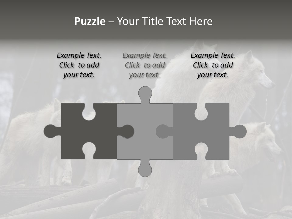 Dangerous Polar Arctic Wolf PowerPoint Template