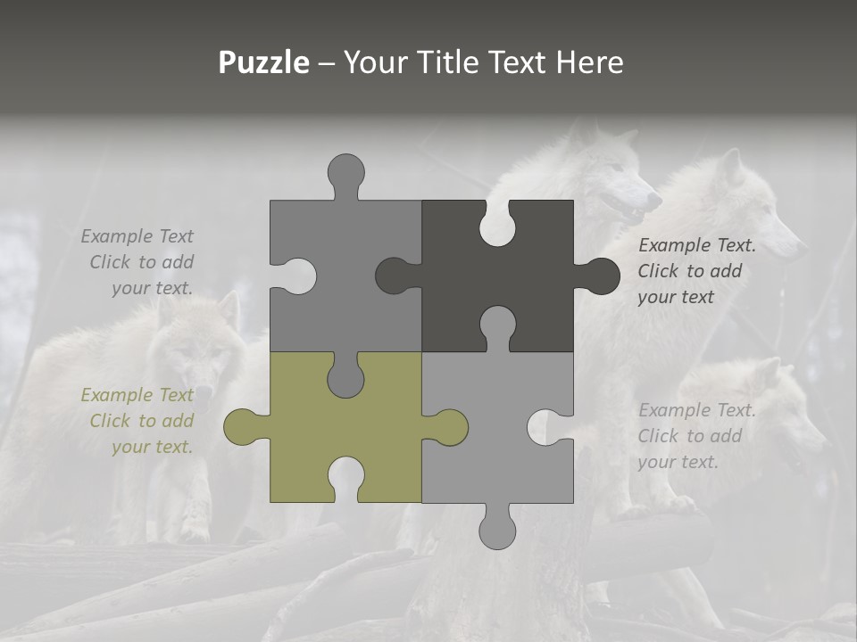 Dangerous Polar Arctic Wolf PowerPoint Template