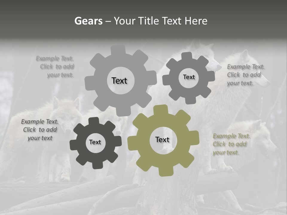 Dangerous Polar Arctic Wolf PowerPoint Template