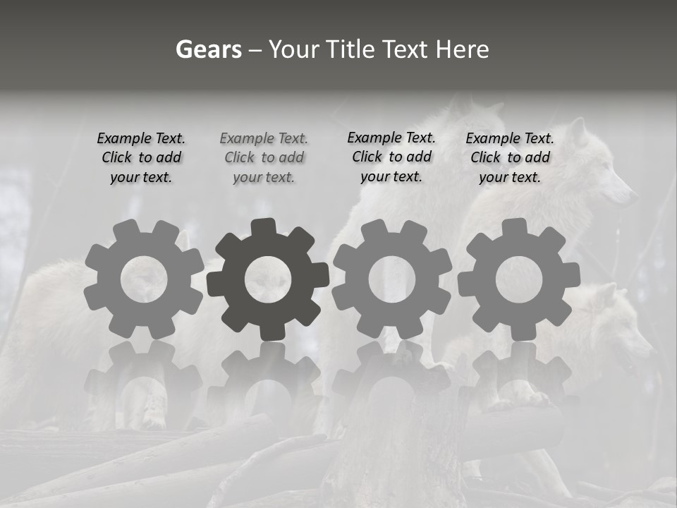 Dangerous Polar Arctic Wolf PowerPoint Template