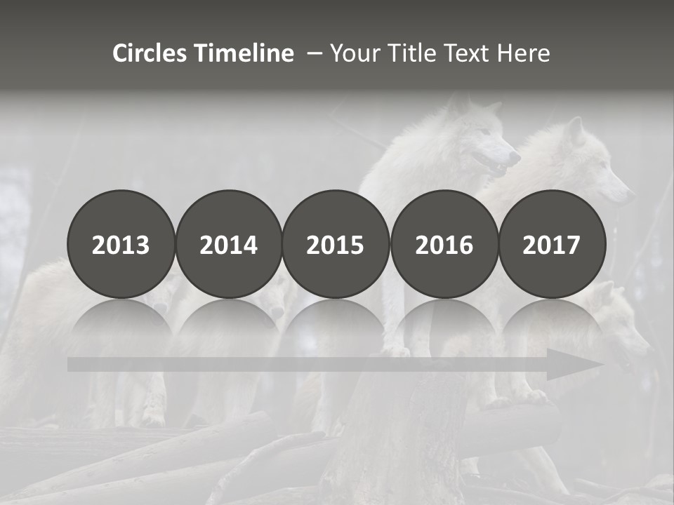 Dangerous Polar Arctic Wolf PowerPoint Template