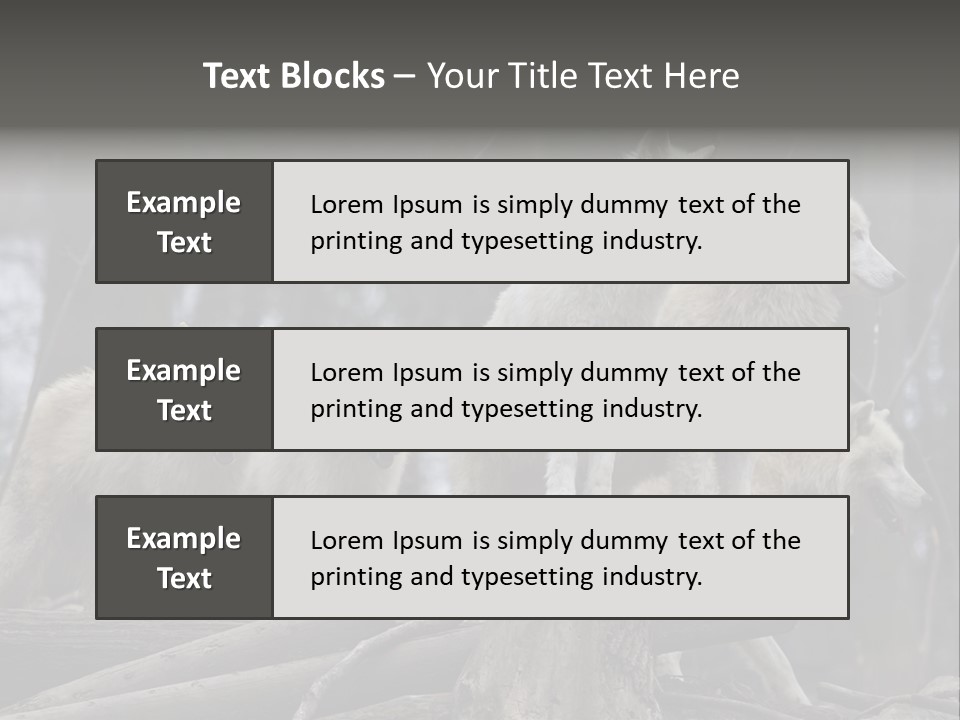 Dangerous Polar Arctic Wolf PowerPoint Template