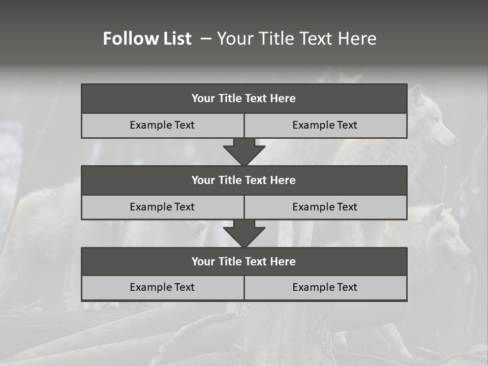 Dangerous Polar Arctic Wolf PowerPoint Template