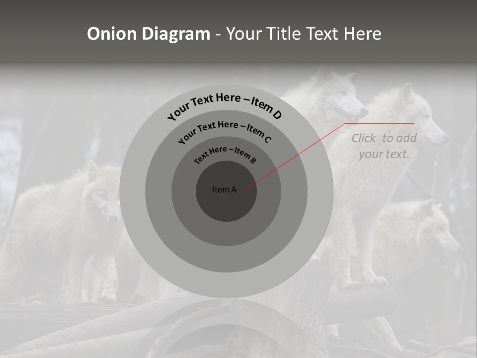 Dangerous Polar Arctic Wolf PowerPoint Template