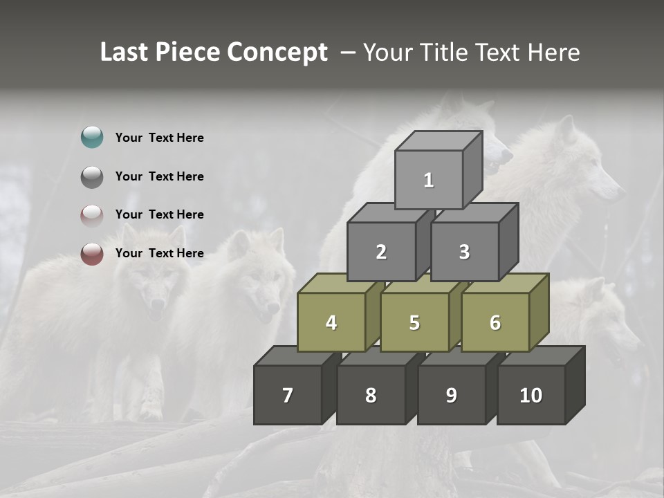 Dangerous Polar Arctic Wolf PowerPoint Template