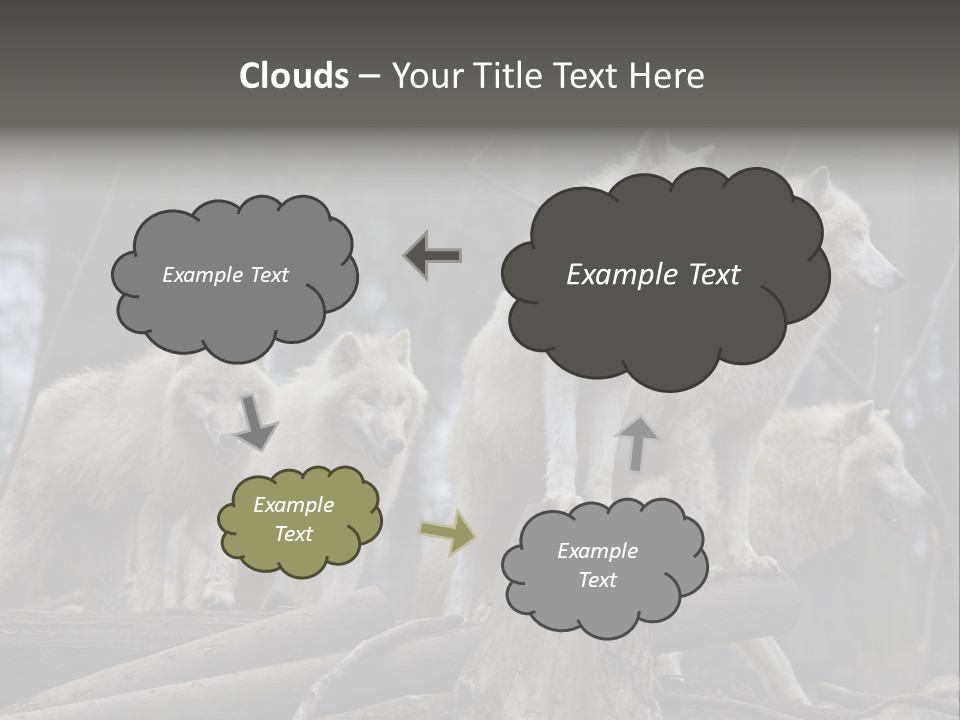 Dangerous Polar Arctic Wolf PowerPoint Template