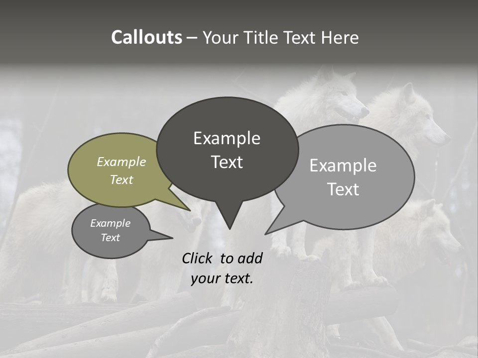 Dangerous Polar Arctic Wolf PowerPoint Template