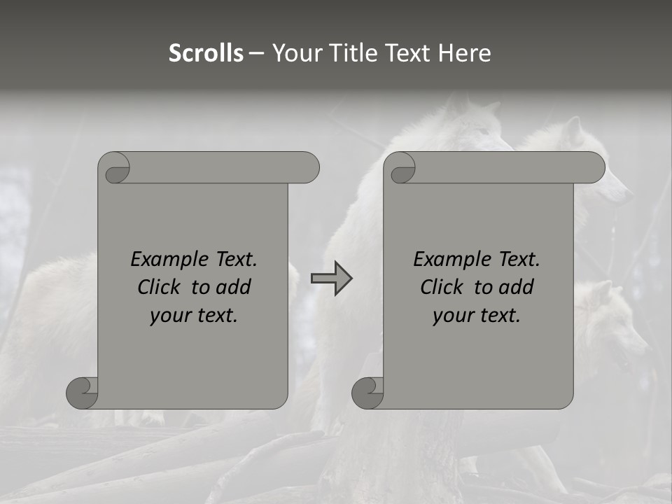 Dangerous Polar Arctic Wolf PowerPoint Template