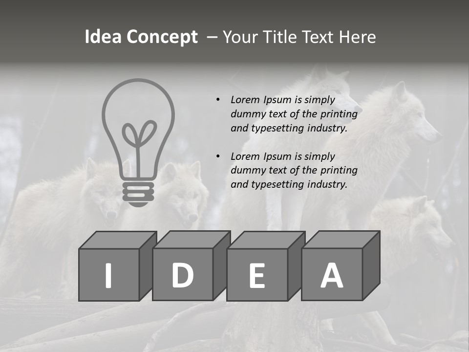 Dangerous Polar Arctic Wolf PowerPoint Template