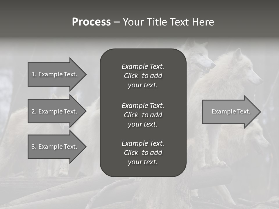 Dangerous Polar Arctic Wolf PowerPoint Template