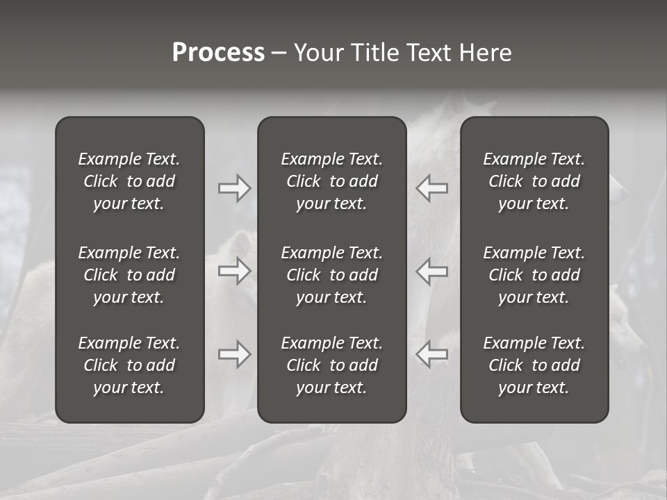 Dangerous Polar Arctic Wolf PowerPoint Template