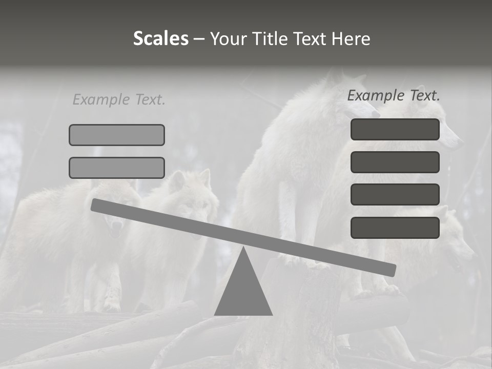 Dangerous Polar Arctic Wolf PowerPoint Template