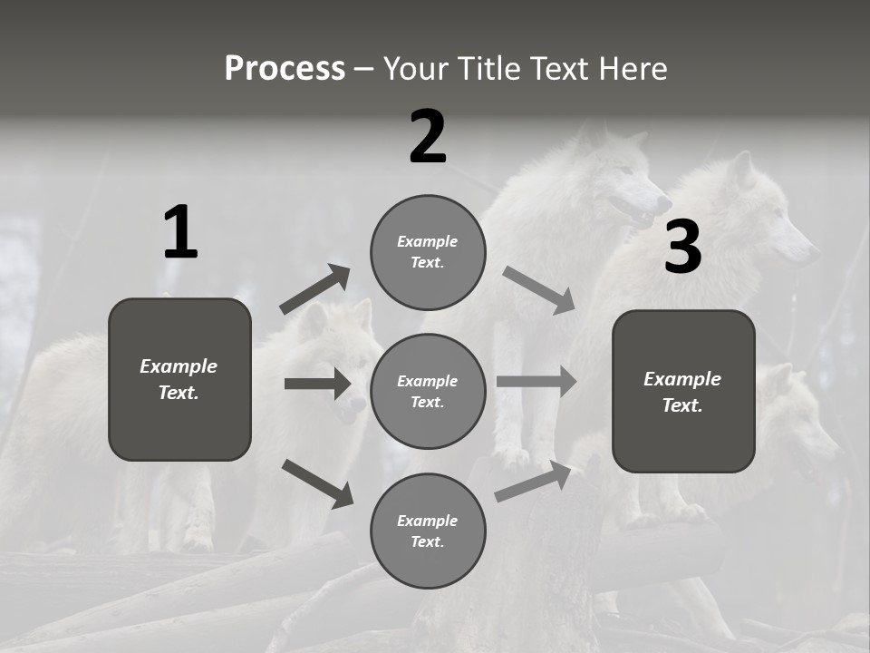 Dangerous Polar Arctic Wolf PowerPoint Template