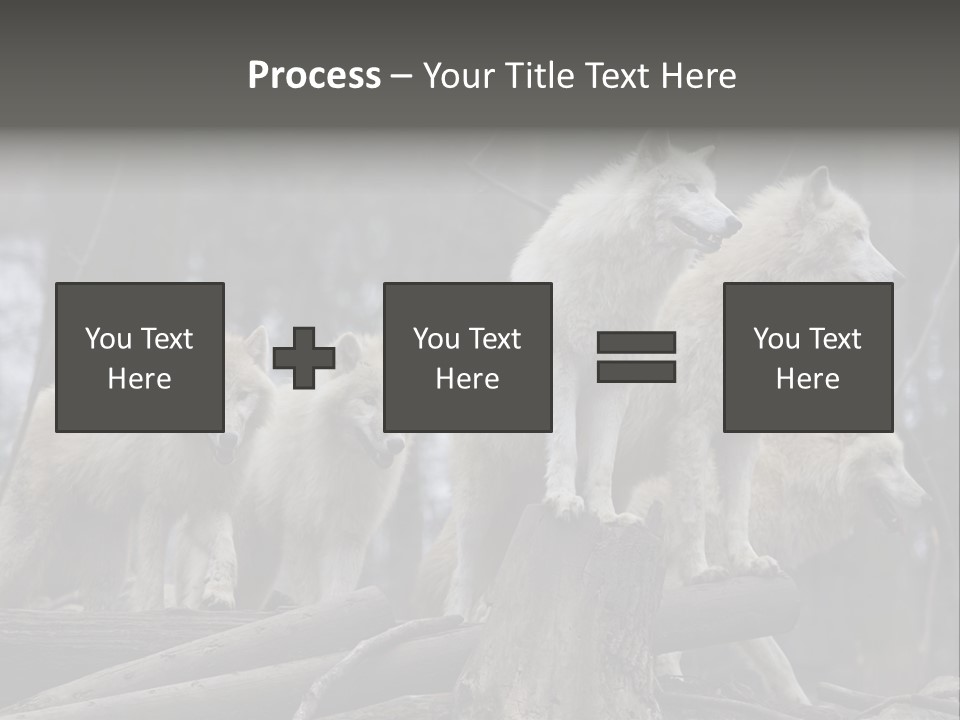 Dangerous Polar Arctic Wolf PowerPoint Template