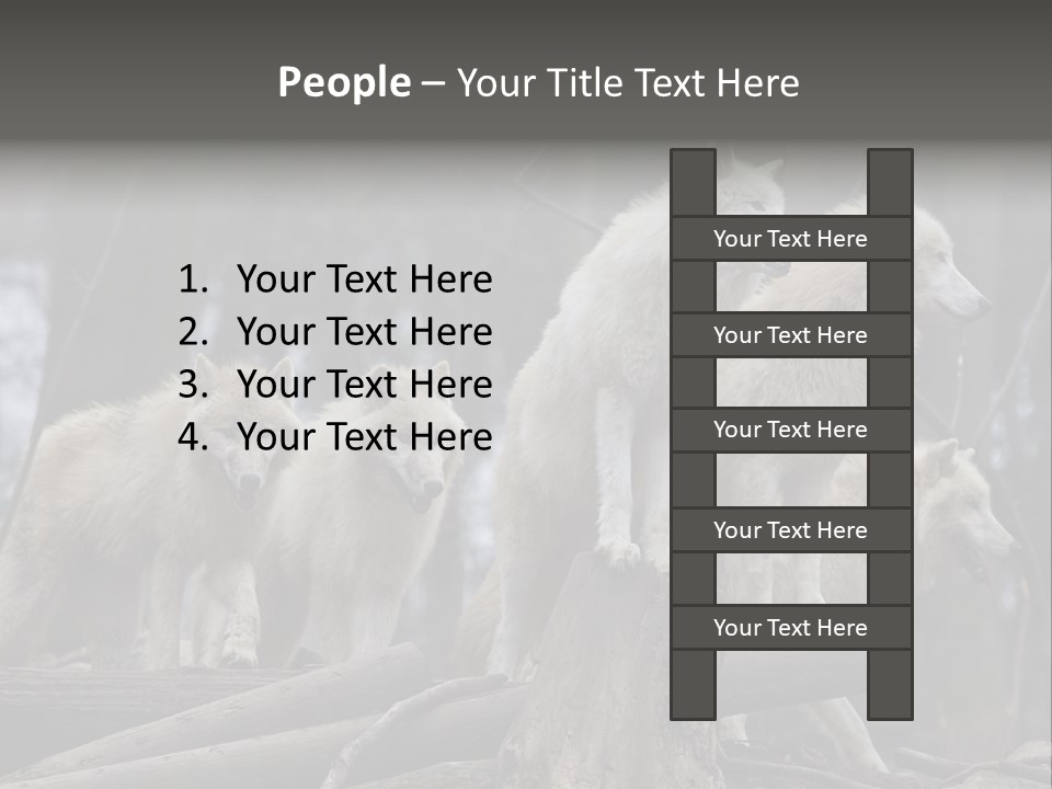 Dangerous Polar Arctic Wolf PowerPoint Template