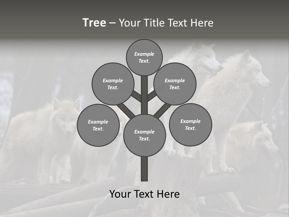 Dangerous Polar Arctic Wolf PowerPoint Template