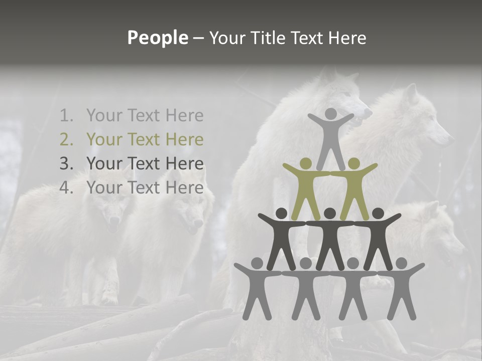 Dangerous Polar Arctic Wolf PowerPoint Template