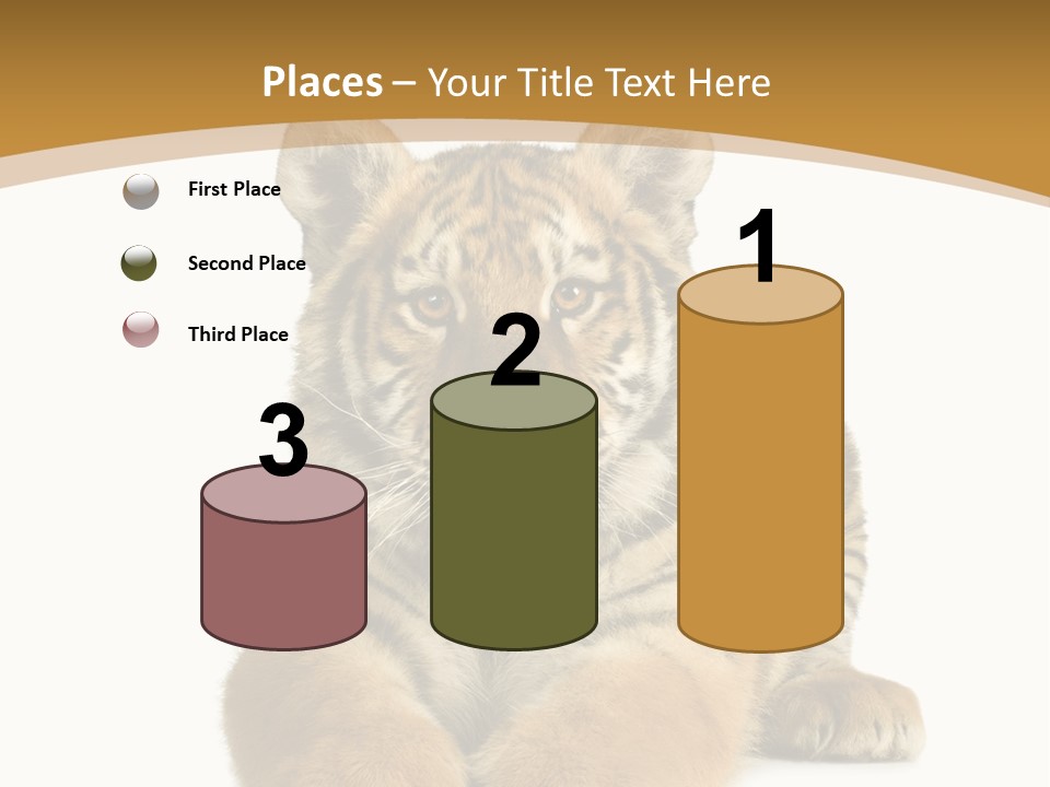Polar Zoo Dangerous PowerPoint Template